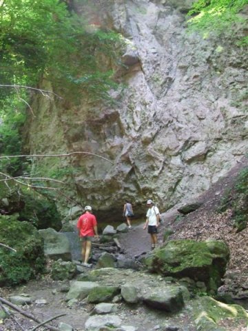 DSCF0145 (Medium)